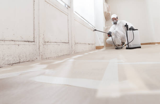 24/7 Emergency Mold Remediation experts in Manchester, GA